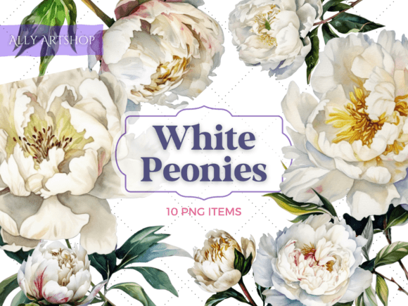 Download White Peonies Vintage Watercolor Clipart - Watercolor Collection