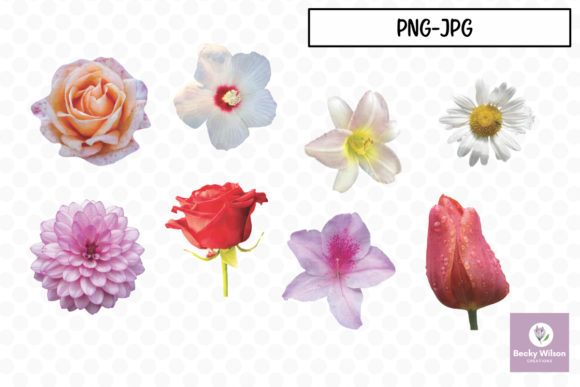 Download Real Pretty Flowers Set 01 - Flowers Collection