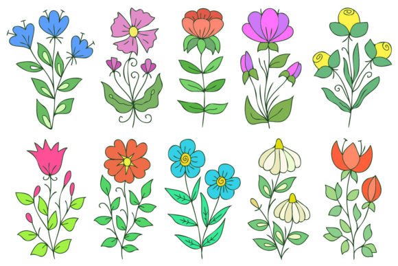 Download Colorful Cute Flowers - Flowers Collection