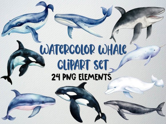 Download Watercolor Whale Clipart Set, Sea Life - Watercolor Collection